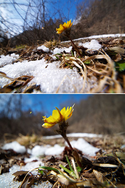 ちょっとした改造（E-1　7-14mm）
