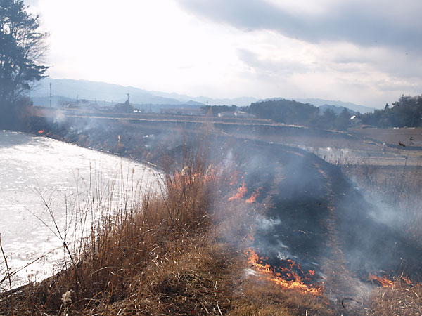 野焼き