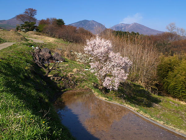 菱平からの浅間