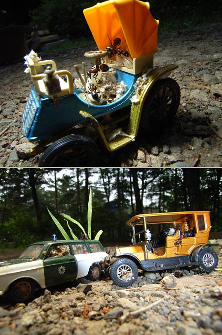 ミニチュアカーはアリの部屋