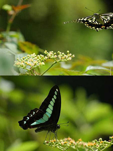 事務所の前の公園で