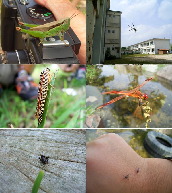 鳥取県上灘小学校で授業