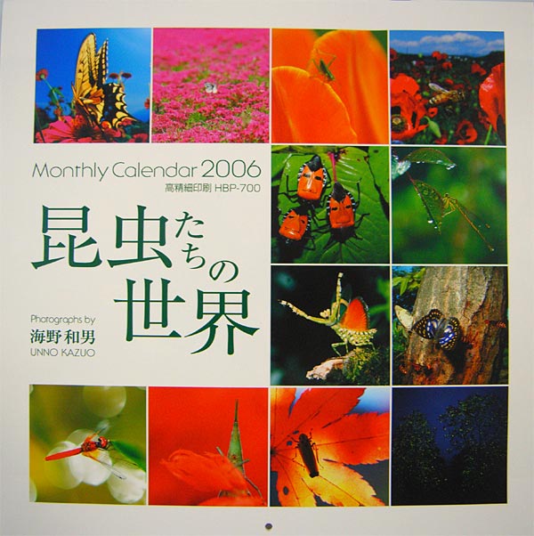 カレンダーができました