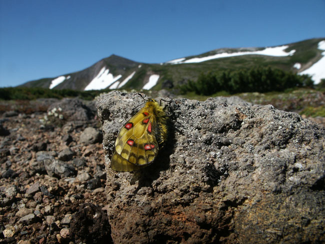 「デジカメ自然観察12」撮像素子の大小1