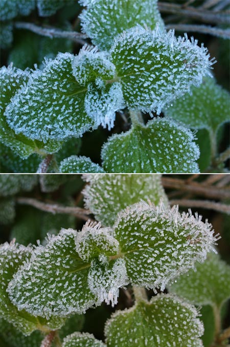 朝のホワイトバランス
