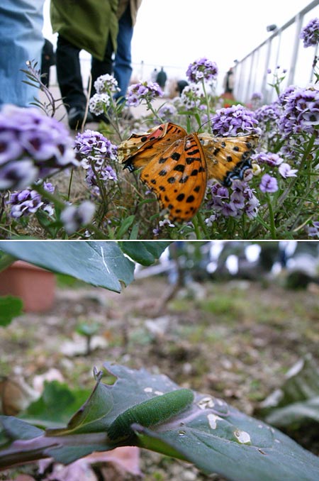 あんさんぶる荻窪