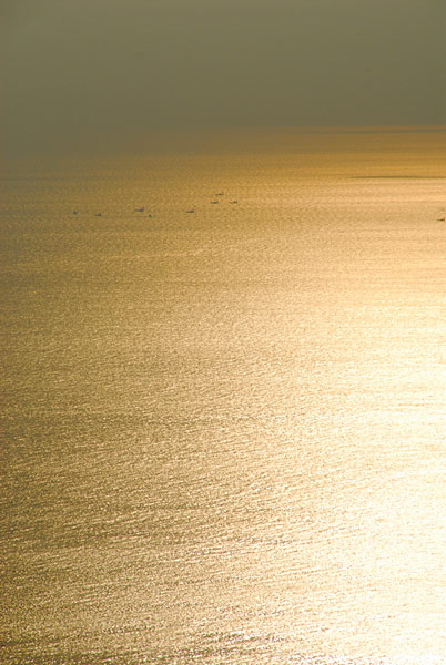 写真家にとって大切なことは