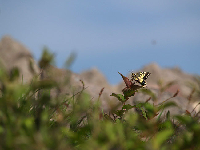 自然写真家にとって科学とはなにか