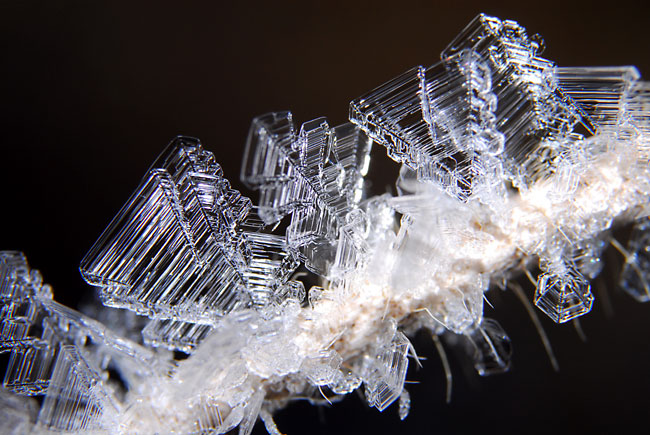 霜の結晶