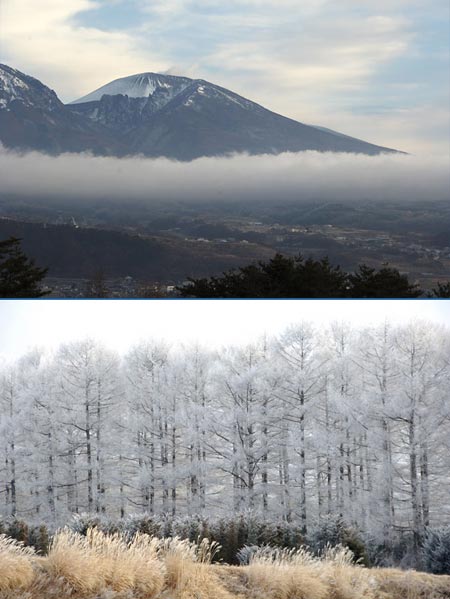 霧氷の出る条件