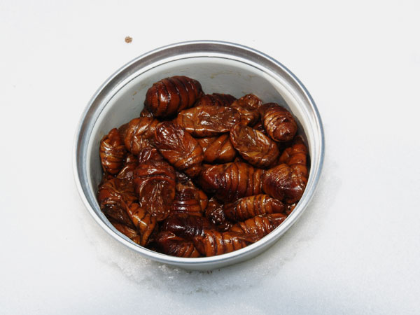 食料としてのカイコの蛹