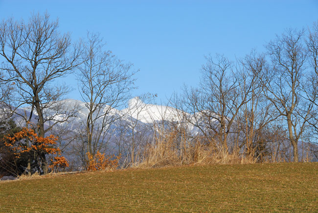 浅間山と麦畑