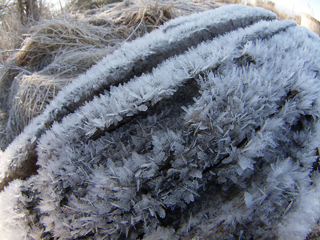 8mm魚眼で撮った霜