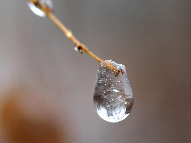 凍りはじめた水滴