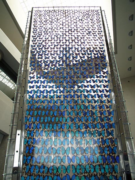 モルフォタワー