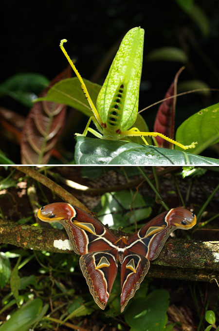 今日から写真展