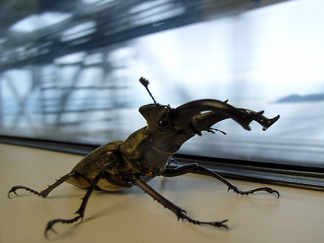 大阪から高松へ