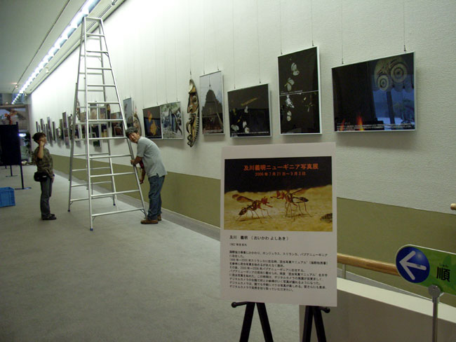 ニューギニア写真展