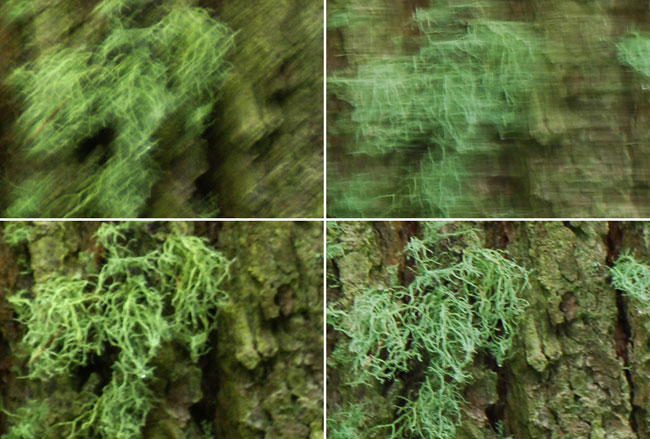 手ぶれ防止の効果は？