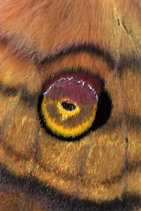 これは誰？（クイズ）