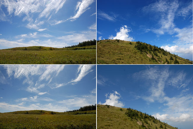 秋空（D80　VS　D200）