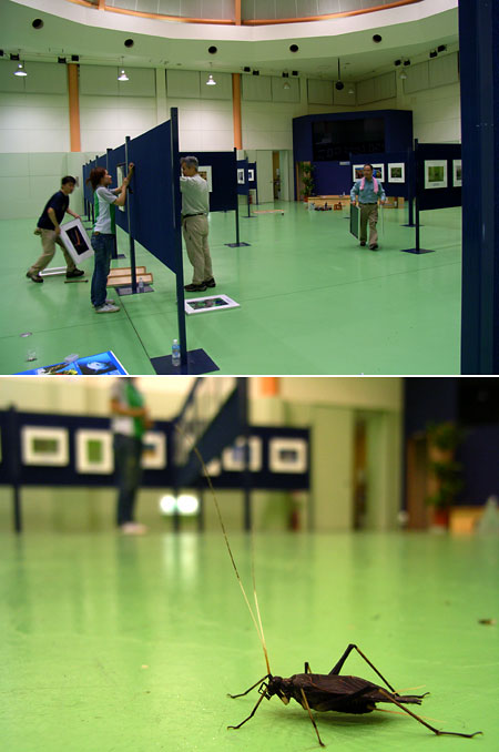 明日から香川でSSP展