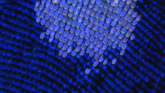 長野放送の地デジ特番