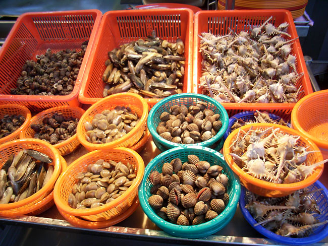 マレーシアの貝