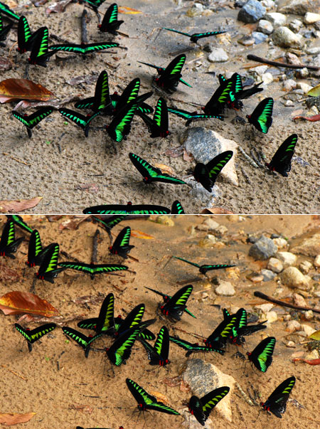 ストロボの功罪