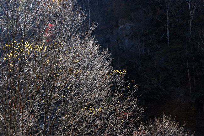 山は晩秋