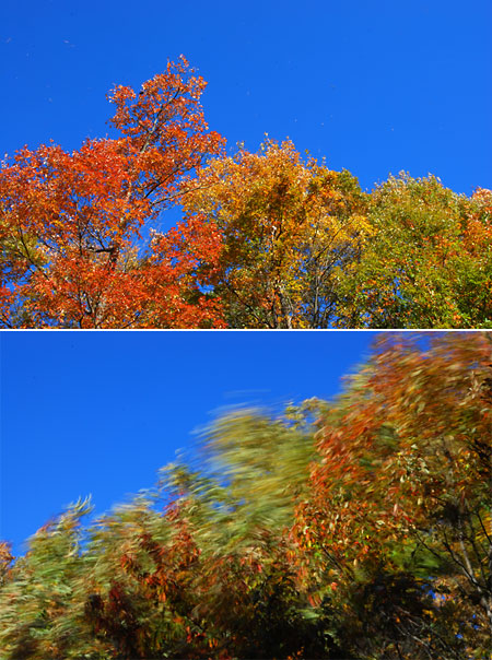 風を撮るシャッター速度