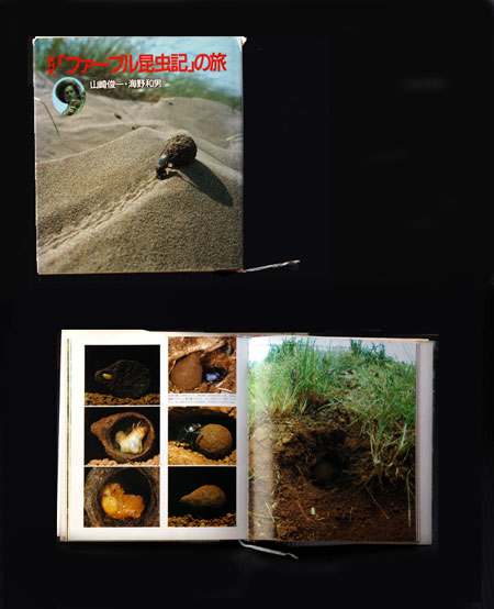 NHKファーブル昆虫記の旅