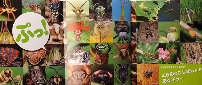 むしとあっぷっぷ