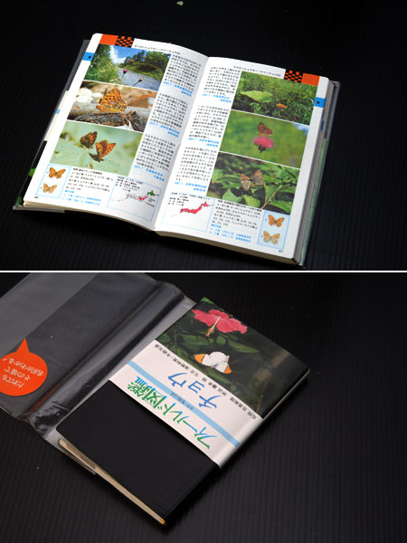 フィ−ルド図鑑チョウ