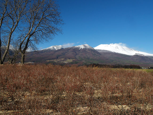 御代田から見た浅間山