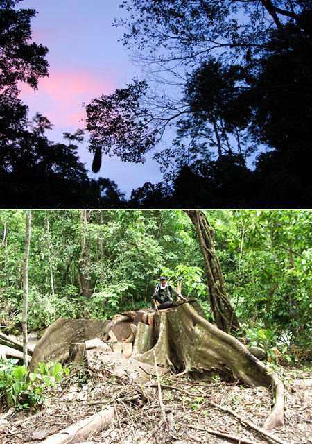 ペルーアマゾン雑感