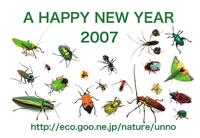 あけましておめでとうございます2007