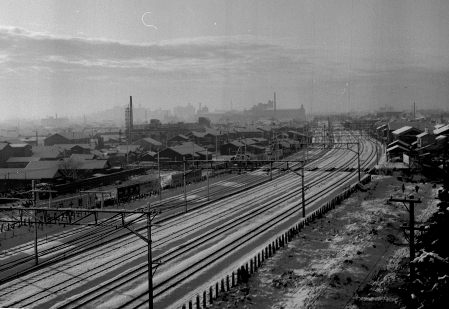 日高先生との出会い（昆虫写真家への道1)