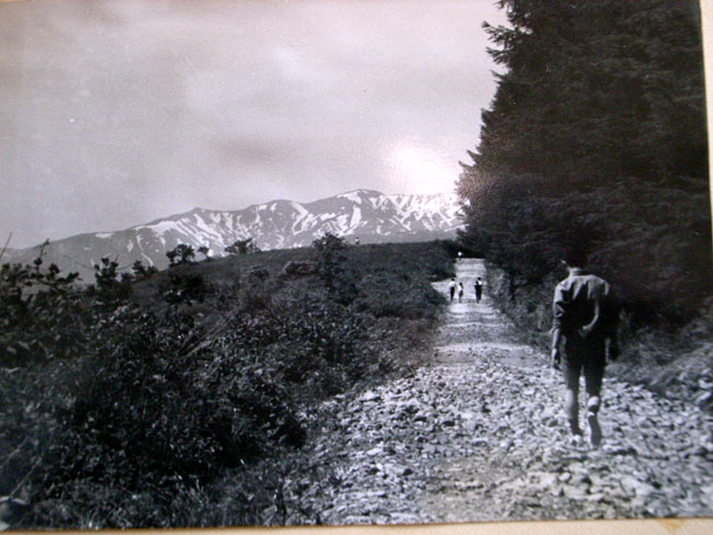 高校生(昆虫写真家への道２)