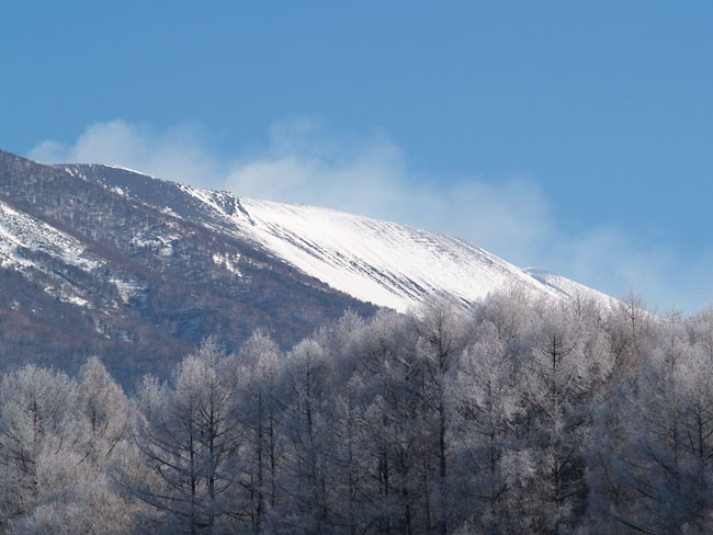 霧氷（ZUIKO DIGITALED 40-150mm ）