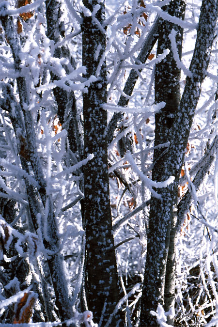 霧氷（ズマリット5cm/2）