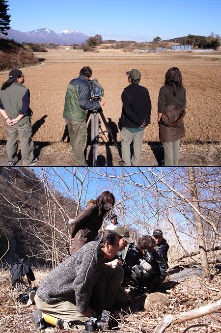 どうぶつ奇想天外の取材