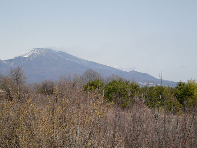 今日の浅間山