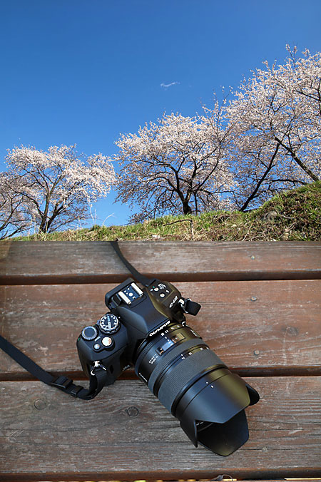 サクラをE-410　エルマリット14-50で撮影