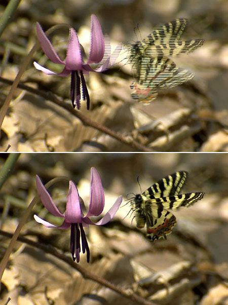 ビデオで撮る一瞬