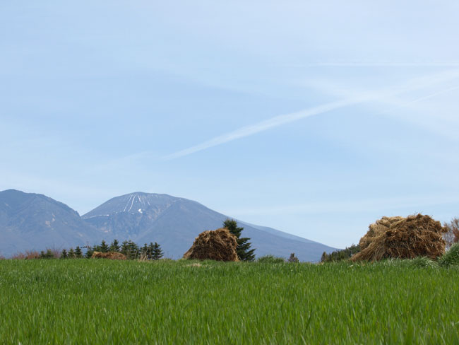 麦畑と浅間