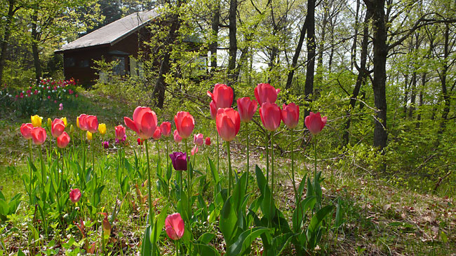 今朝のアトリエ