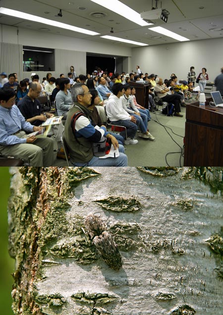 豊橋自然史博物館