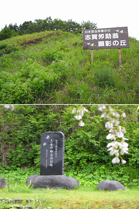 志賀夘助さんの碑