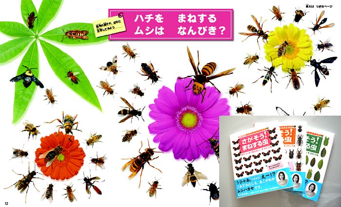 SSP総会、「さがそう! まねする虫」